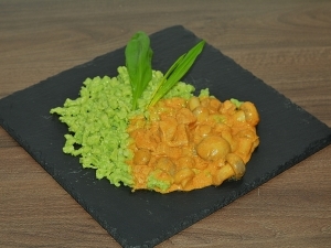 Bakonyi sertéspaprikás medvehagymás galuskával